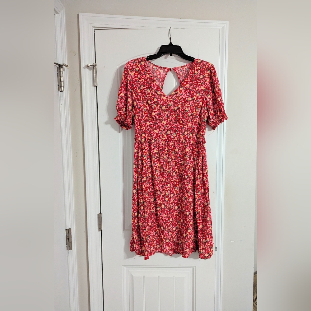 Women's Ditsy Multi-Colored Floral Summer Spring Dress